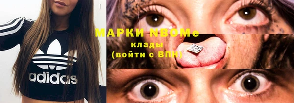 сатива Верхний Тагил