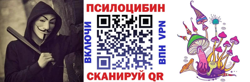 Псилоцибиновые грибы Psilocybe  Купить где  Короча 