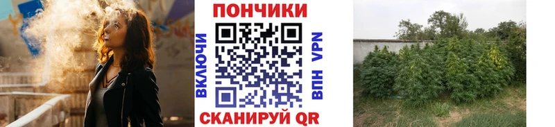 Купить закладки  Короча  Конопля VHQ 